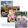 Блокнот А6   40л, Hatber Милые котята, 110х145мм, евроспираль, обложка лакированный картон