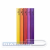 Папка DURABLE Duralook Color 2424-09, A4, с 40 прозрачными вкладышами, антрацит/оранжевый