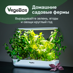 Vegebox